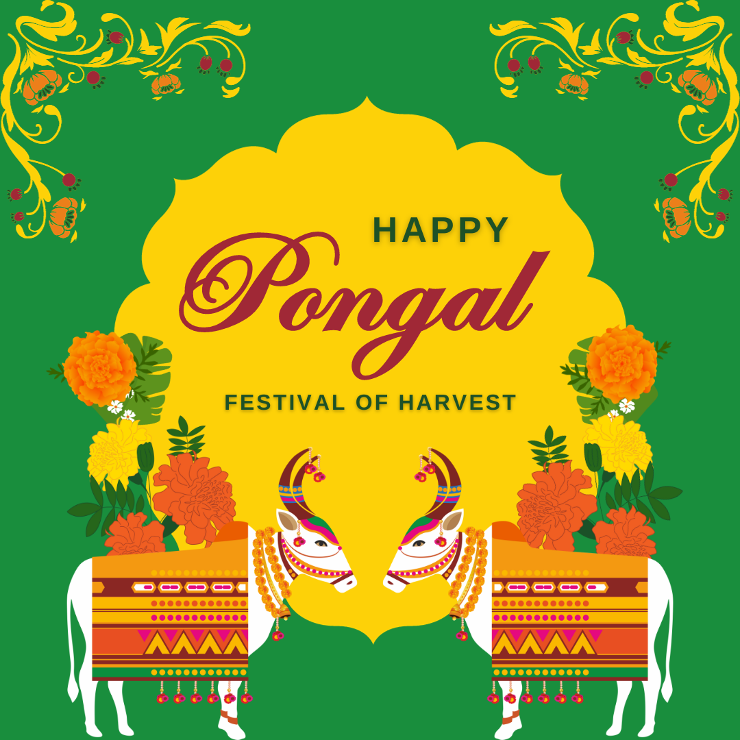 Happy Pongal 2024 Wishes, images, messages, SMS, greetings, WhatsApp