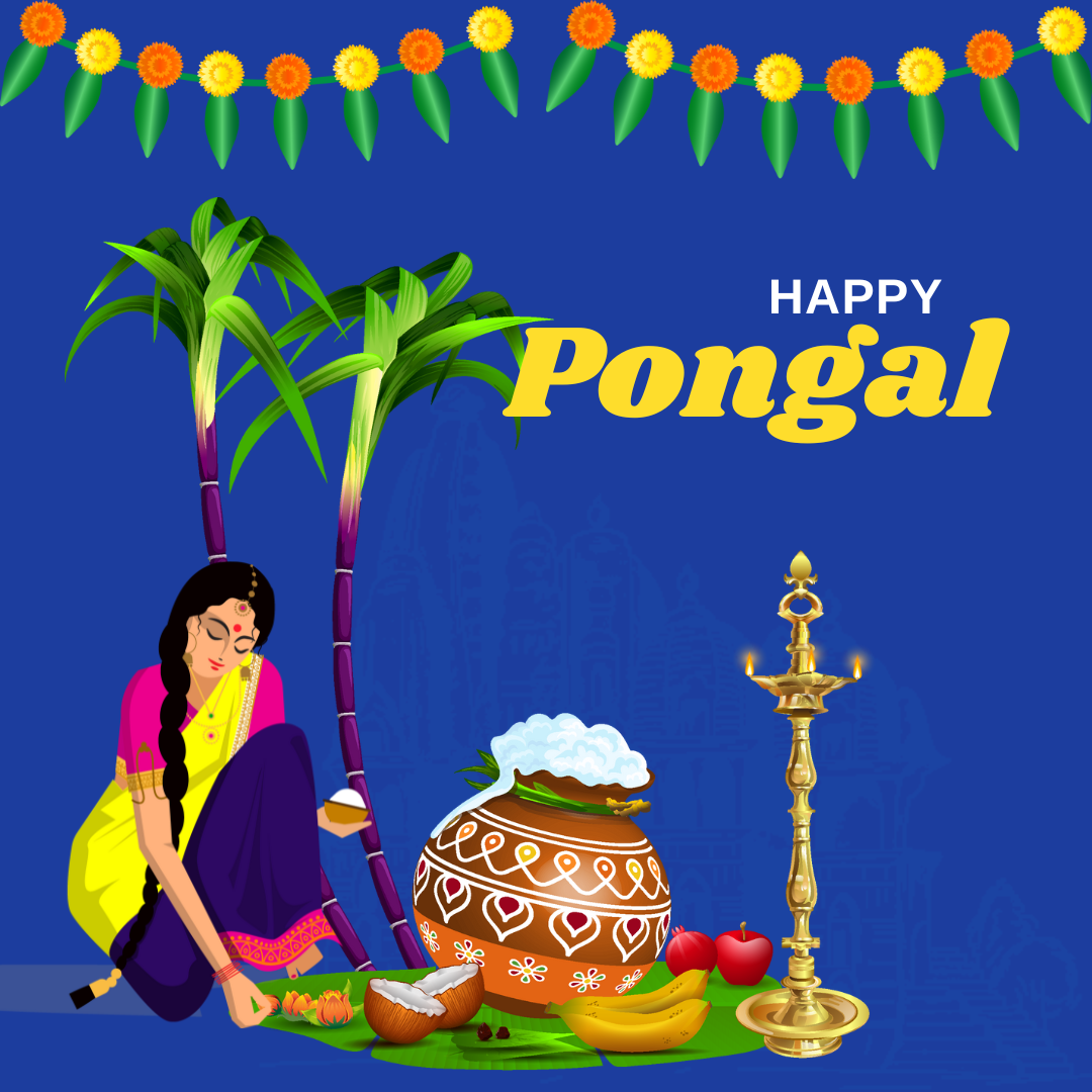 Happy Pongal 2024: Wishes, images, messages, SMS, greetings, WhatsApp ...